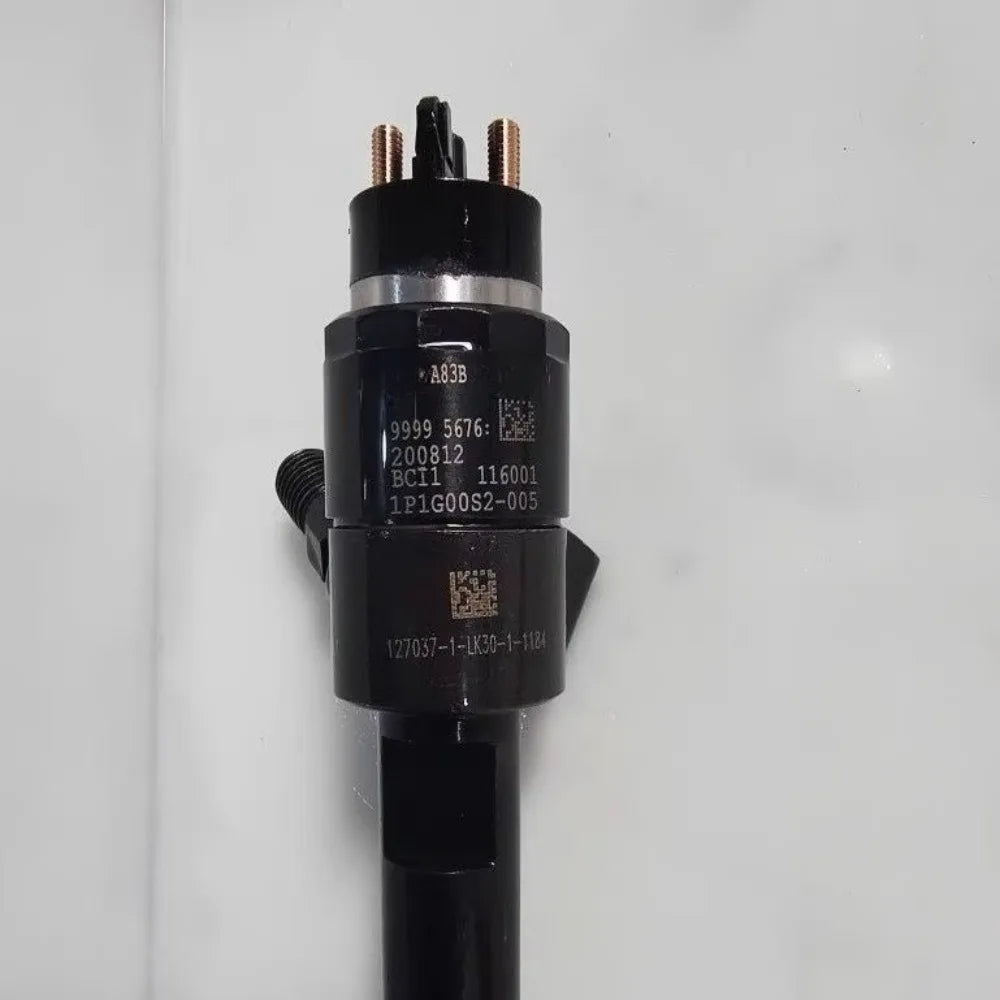 Applicable to North Oil Injector 116001 Beijing Assembly Agricultural Machinery Yudong Harvester Heavy Oil Weichai Injector